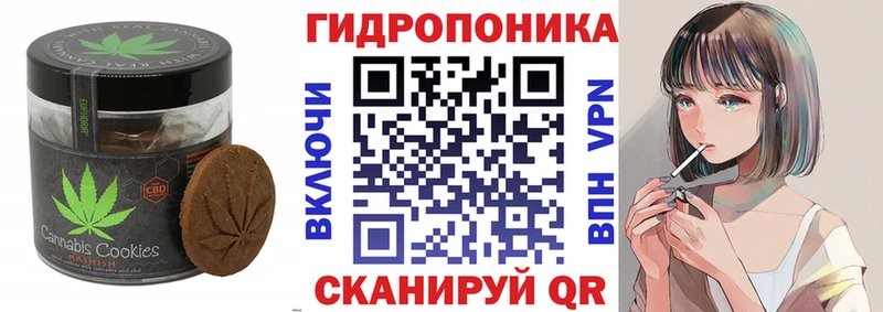 Cannafood конопля блэк спрут ссылка Шебекино закладки