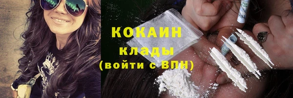 дживик Аркадак